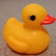 あひる