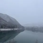 Mi12の画像