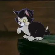 まーの画像