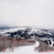 Masa0223