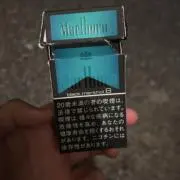 リョータの画像