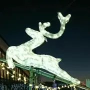 ホワイトレモン