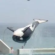 カヅ3