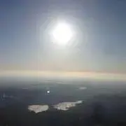 たかの画像