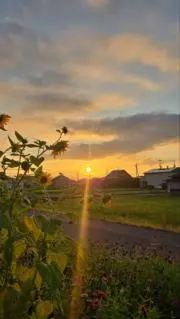 wawan26の画像
