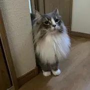 Yuta  ゆた