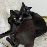 なお