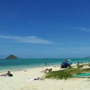 ヤマ～の画像
