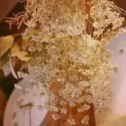 c.の画像