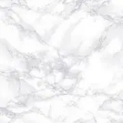 魚卵の画像