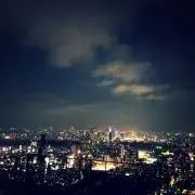 とろまるの画像