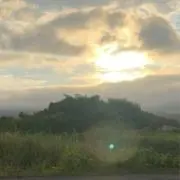 SAKEの画像
