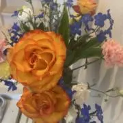 鈴波の画像