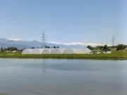 メグリ
