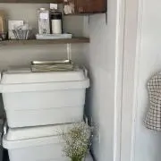 たむの画像