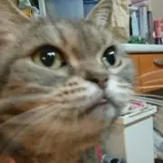 マルシェ (プロフご一読ください♪)