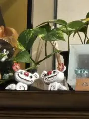 chachaの画像