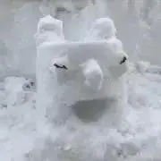 あじゃの画像