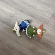 あの画像