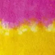りんご