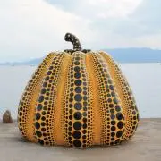 ぱぱにゅー
