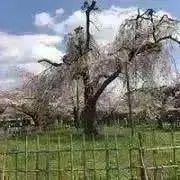 断捨離中の画像