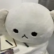 るびぃの画像