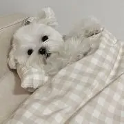 mの画像