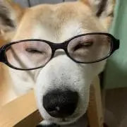 jbwolf0888