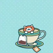 くーちゃんの画像