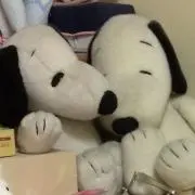 ニモの画像