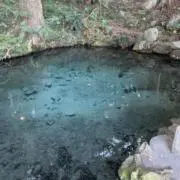 そあらの画像