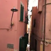 ちぃの画像