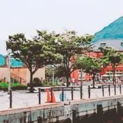YU-KI☆YAの画像