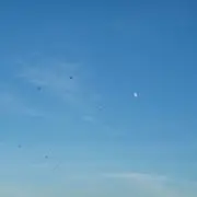 Nの画像