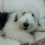 キオ