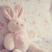 あるの画像