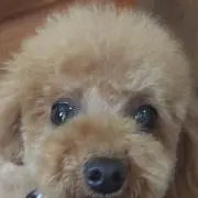 パンプキン♡の画像