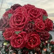 Flowerの画像