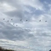 adの画像