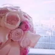まなの画像