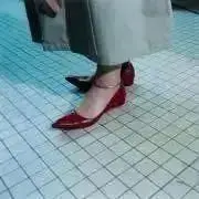 まめの画像
