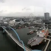 木村の画像