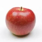 しゅるの画像