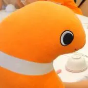 さっちゃんの画像