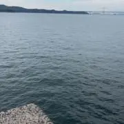 ゆうう