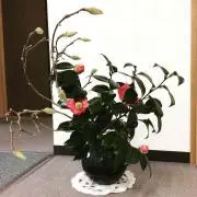 ack・ω・shop