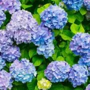 Y❤︎プロフ必読