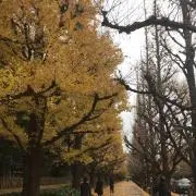 kikiの画像