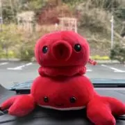みの画像